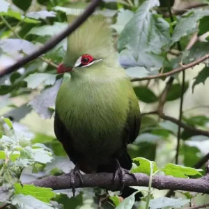 Garden Route, RSA, 7 Days