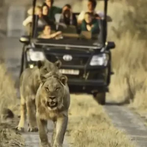 4 Days Kruger National Park