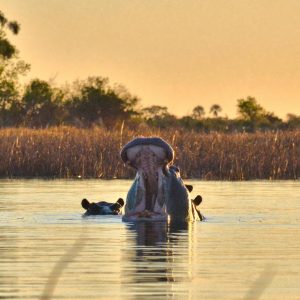 Okovango Delta, Botswana, 8 days